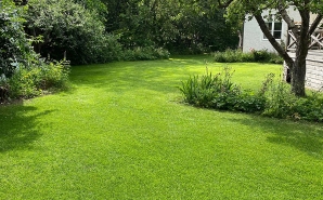 En gräsmatta som vi har renoverat i Täby.